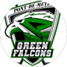 Photo de Green Falcons